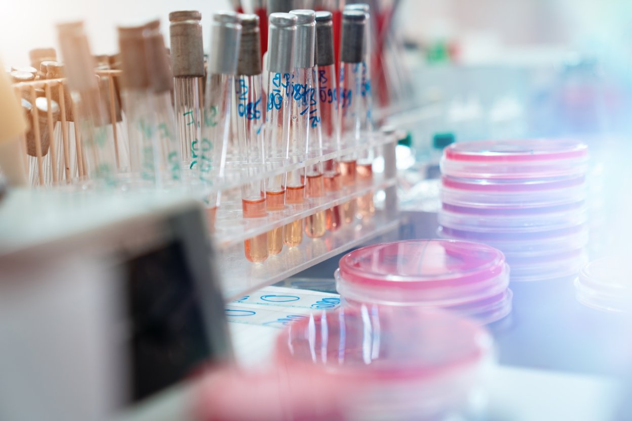 Your Strategic Partner in the Pharmaceutical Industry